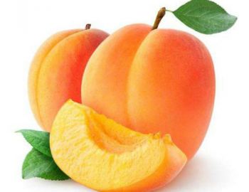 Саженцы абрикоса - от питомника саженцев Три Корня