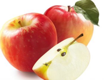Саженцы яблони - от питомника саженцев Три Корня